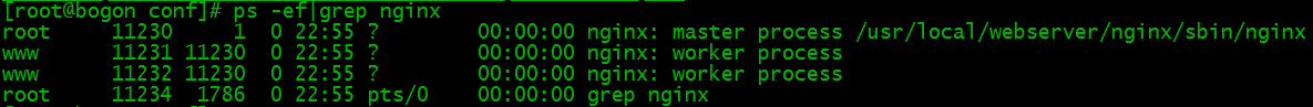 Nginx 安装配置 Nginx 安装配置